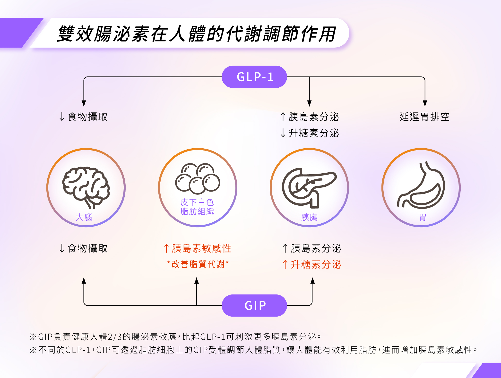 猛健樂療程Mounjaro】減重治療新突破，讓你輕鬆瘦! 健康GO!｜服務項目