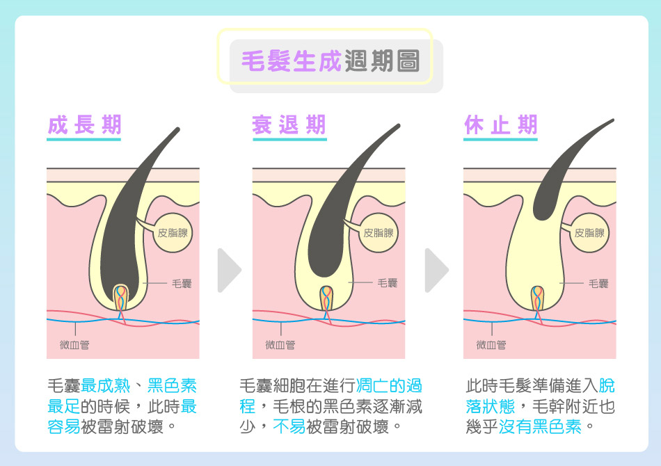 服務項目 無痛雷射除毛 實惠價格 煩惱掰掰 星采星和醫美