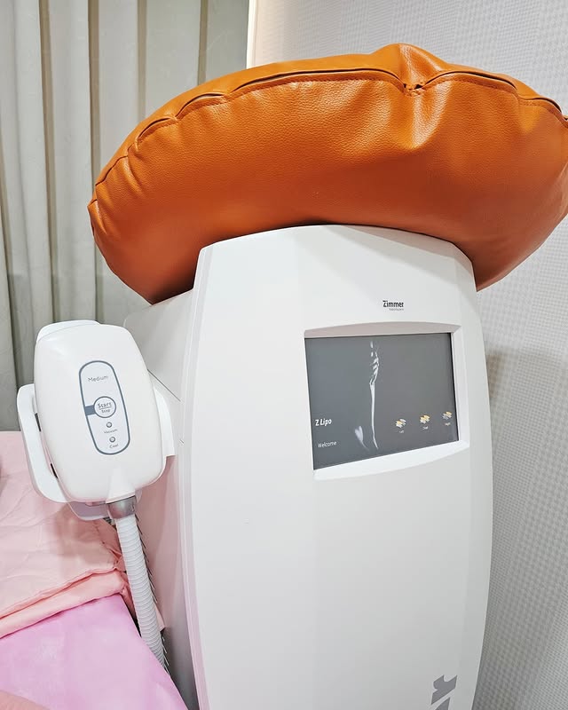 來自德國製冷大廠的「Z塑酷」