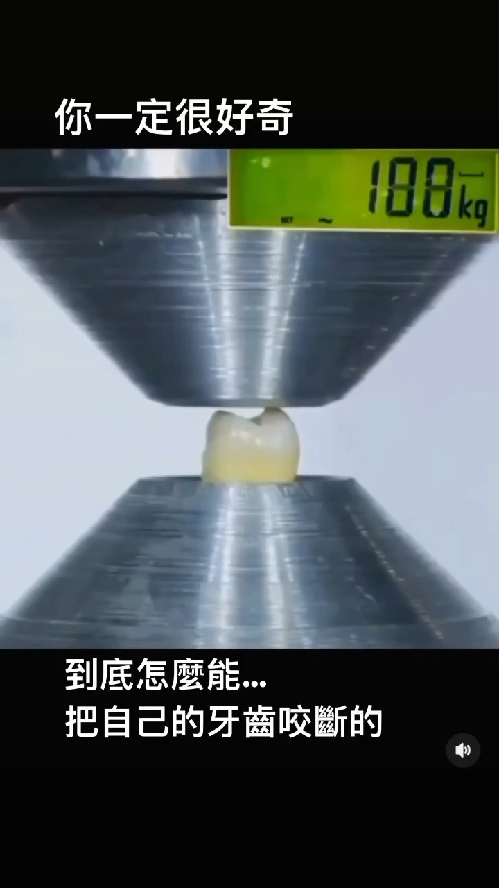 你知道你的牙齒能承受多少重量嗎？