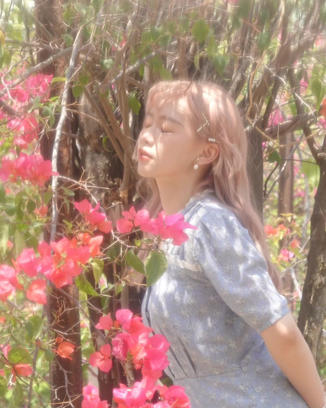 VIVI (小葵)