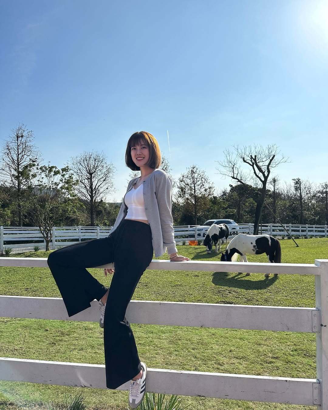 【彩衝光】