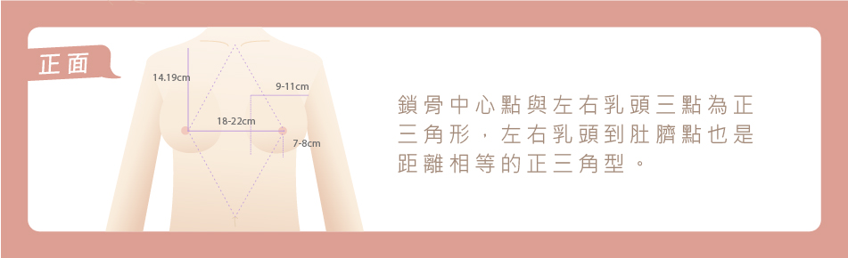 乳頭的高度和角度比例都恰到好處
