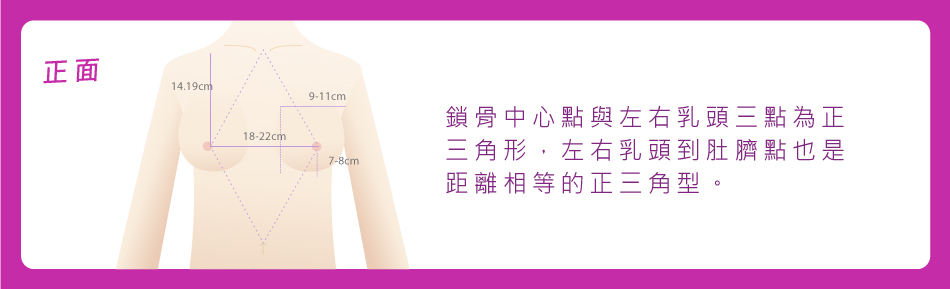 找出胸部的「黃金比例」