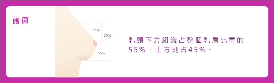 找出胸部的「黃金比例」